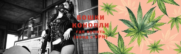 МДПВ Костерёво