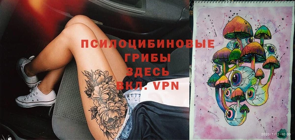 МДПВ Костерёво