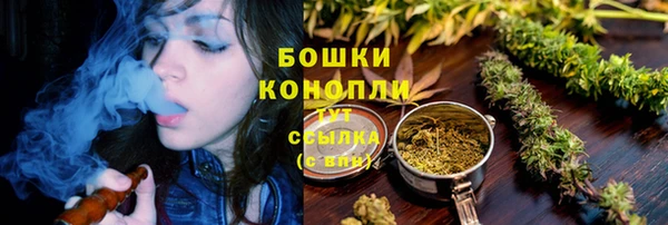МДПВ Костерёво