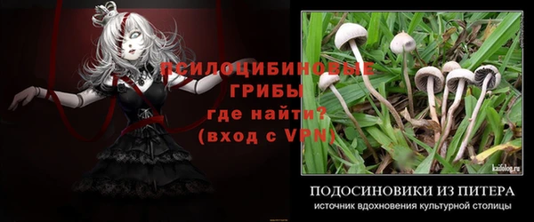 МДПВ Костерёво
